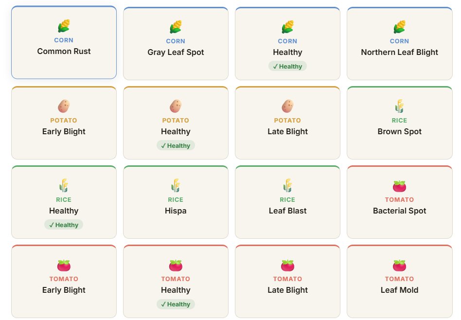 Leaf Disease Detection Web App - Screenshot 3