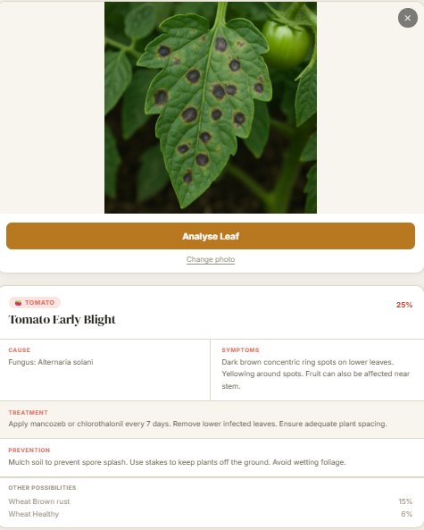 Leaf Disease Detection Web App - Screenshot 2